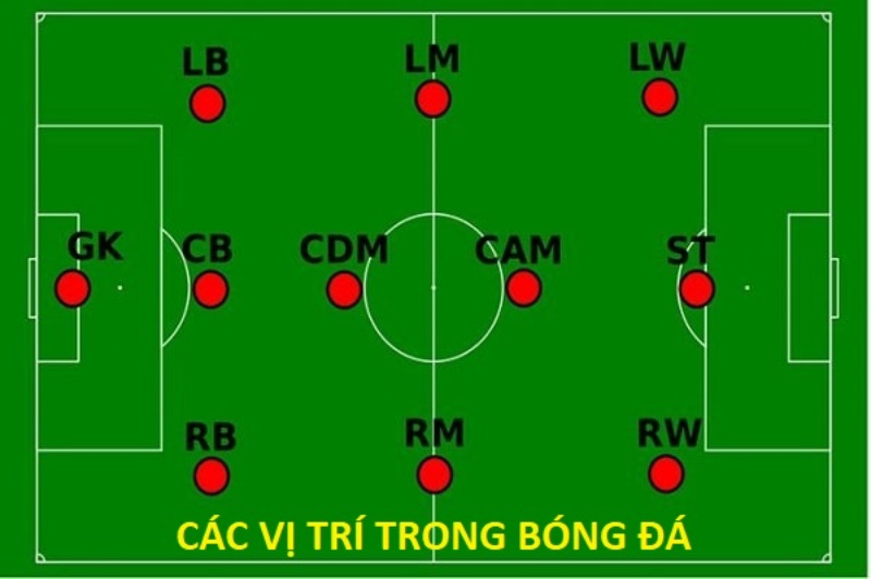 Tìm hiểu chi tiết các vị trí trong bóng đá nên biết